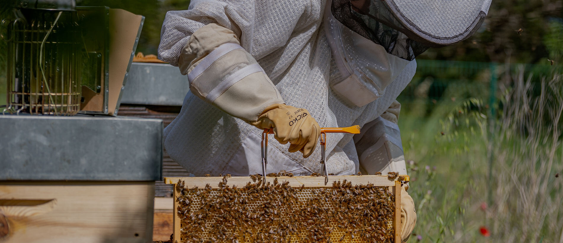 Kits apiculture