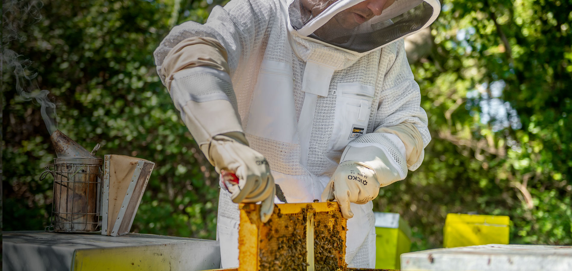 Vêtement d'apiculteur