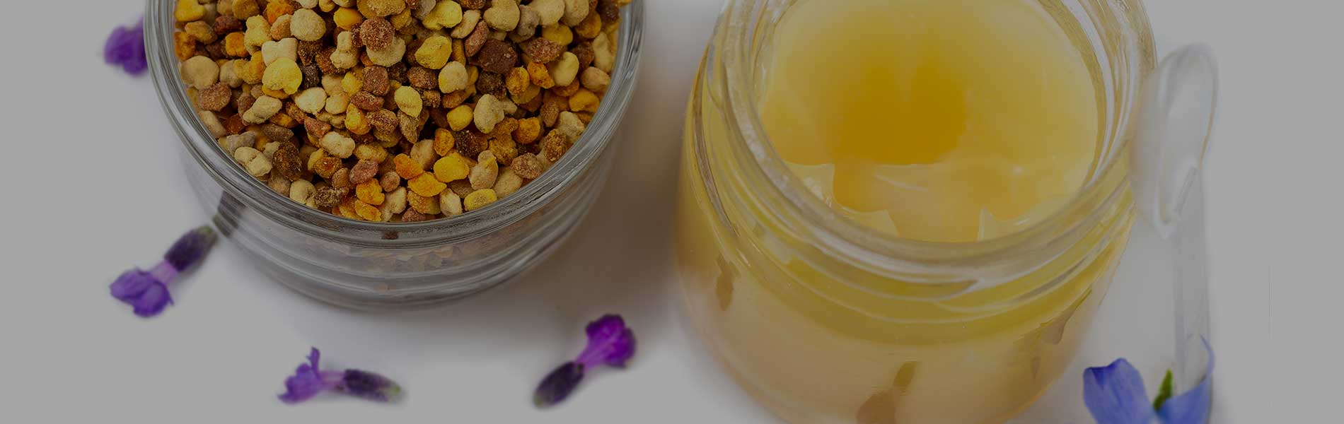 Gelée royale, pollen et propolis Gelée royale, pollen et propolis