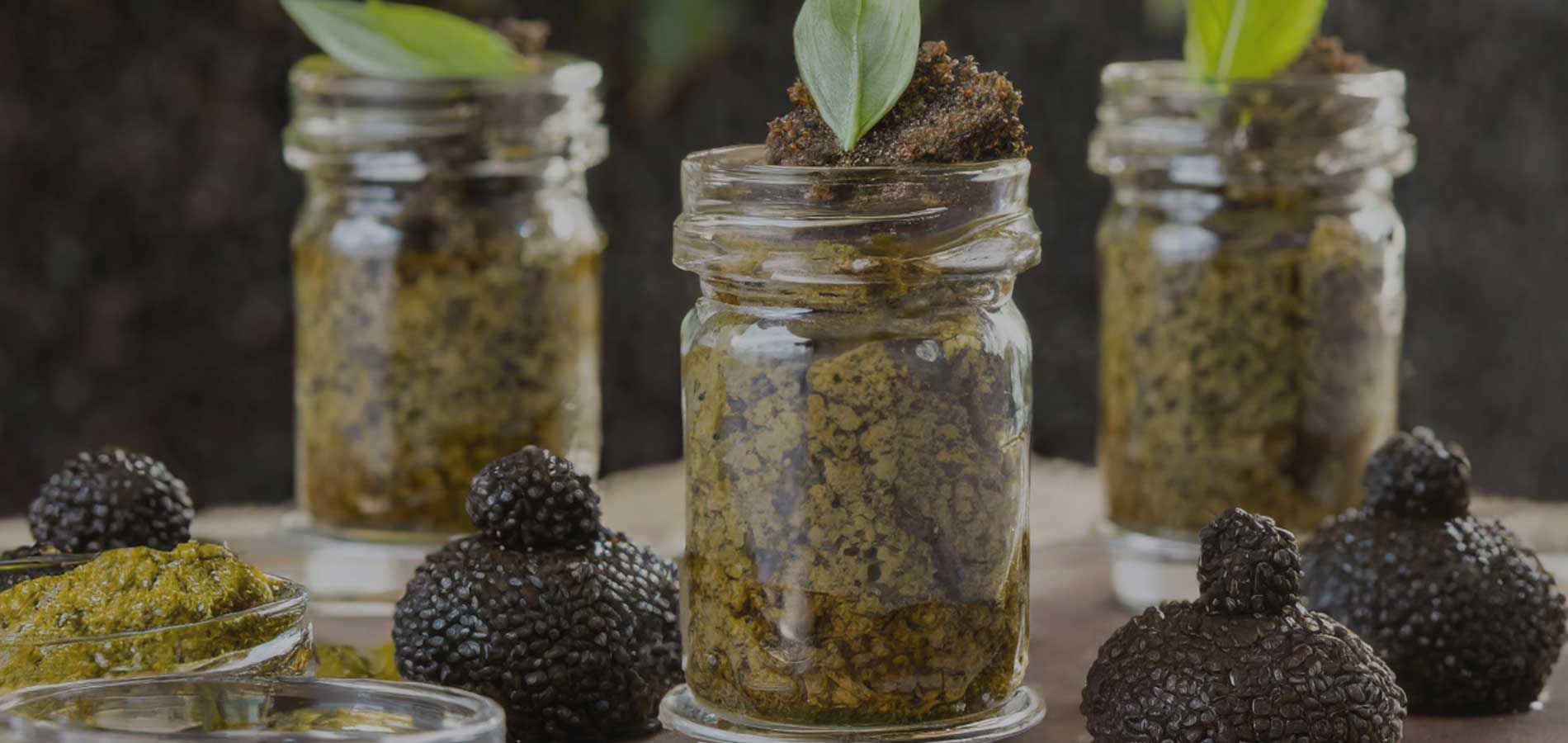Pots vides à tapenade, pesto, moutarde et truffe
