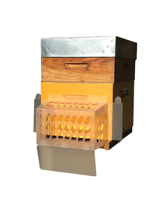 Bouclier de protection anti-frelons asiatiques STOP IT