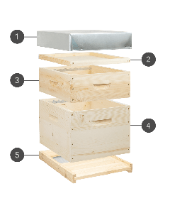 Composez votre ruche Dadant 10 cadres personnalis&eacute;e