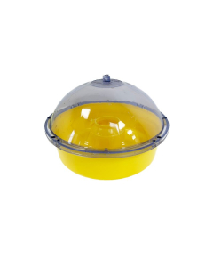 Pi&egrave;ge &agrave; gu&ecirc;pes et frelons asiatiques Guep'apens