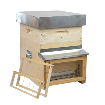 Ruche Dadant 10 cadres mi-bois complète Ruchéco bouclier anti-frelon