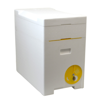 Ruchette Dadant 6 cadres polystyrène avec nourrisseur