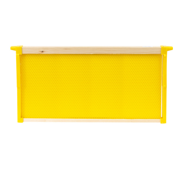 Cadre avec montants et feuille gaufrée plastique pour ruche Langstroth