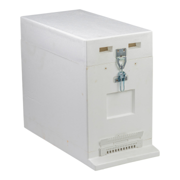 Ruchette Dadant 6 cadres polystyrène bandes lisses