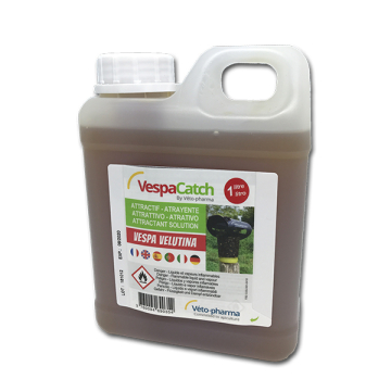 Attractif liquide véto-pharma pour piège à frelons asiatiques - bidon 1l