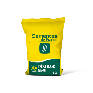 Graines de trèfle blanc mellifère - sac de 5kg