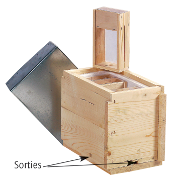 Nucléi quatronuc en bois - ruchette d'élevage 4 reines avec observation