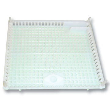 Cage d'introduction de reine pour ruche