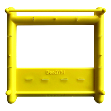 Dispositif de toilettage Bee gym pour l'abeille - anti-varroa naturel