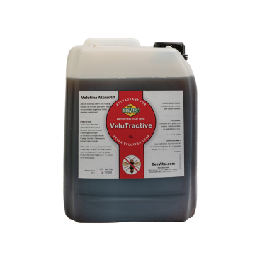 Appât frelon asiatique Beevital VeluTractive - bidon de 5l