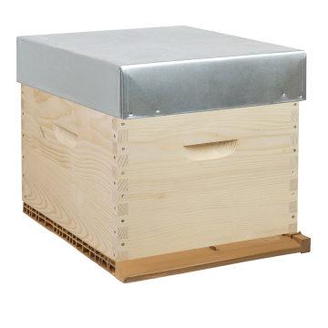 Ruche complète en pin à tenons Dadant 10 cadres avec cadres droits filés