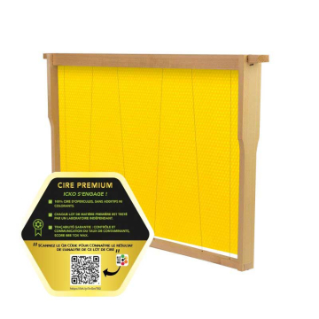 10 cadres Hoffmann garnis de cire sélectionnée PREMIUM - Dadant corps