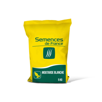 Graines de moutarde blanche mellifère - sac de 5kg