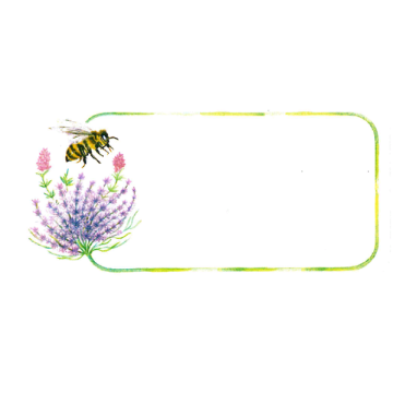 Étiquettes personnalisables 85x38mm pour pot de miel (modèle abeille et fleur)