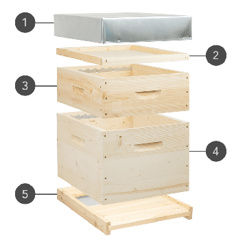 Composez votre ruche Dadant 10 cadres personnalisée