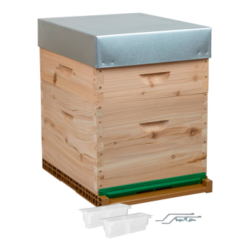 Ruche Dadant 10 cadres à tenons complète CRYPTOlight - palette de 12