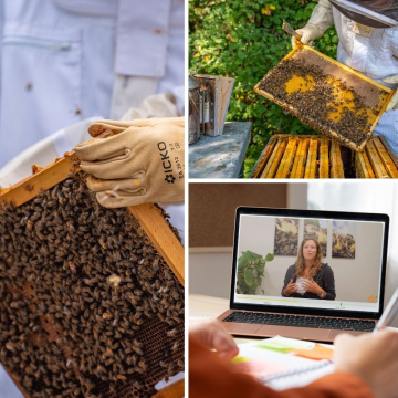 Kit apiculteur débutant premium - ruche complète avec essaim et formation rucher-école