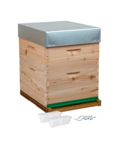 Palette de 12 ruches légères à tenons Dadant 10 cadres - CRYPTOlight