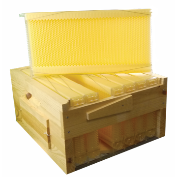 Hausse de ruche pour 7 cadres Flow Hive 430 mm