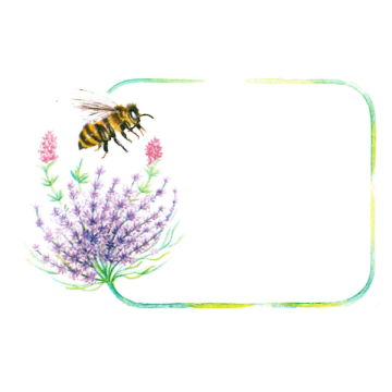 100 étiquettes personnalisables (modèle abeille et fleur) - 85 x 38 mm