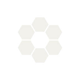 Fiche de suivi pour ruche - Lot de 10 fiches de suivi | Icko Apiculture