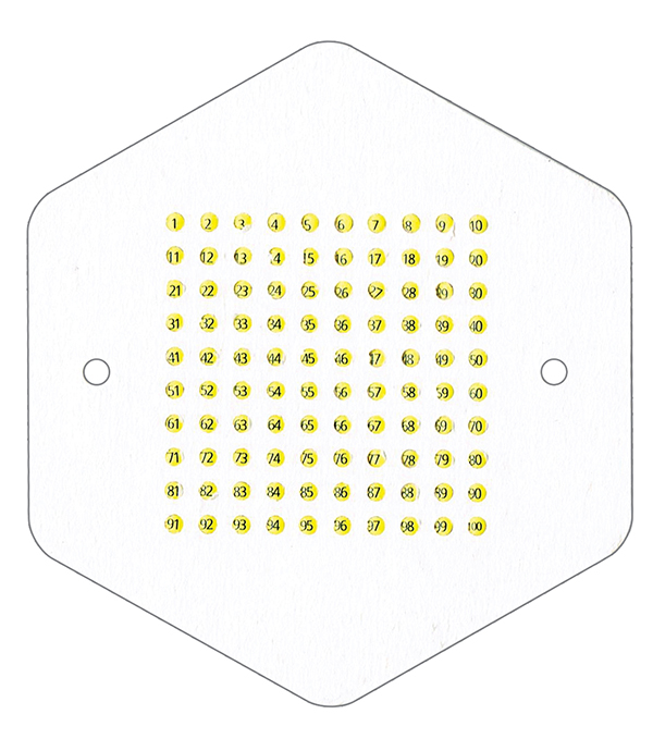 Pastilles de marquage jaunes numérotées pour reines - lot de 99