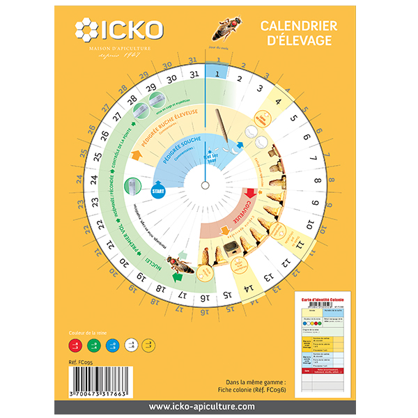 Calendrier d'élevage de reines pour apiculture