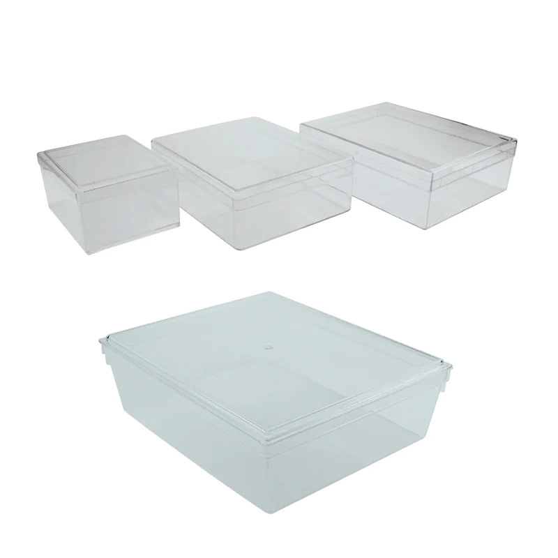 Boîte à section en plexiglass transparent pour miel en rayon