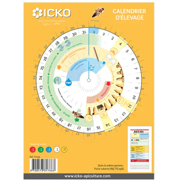 Calendrier d'élevage de reines pour apiculture