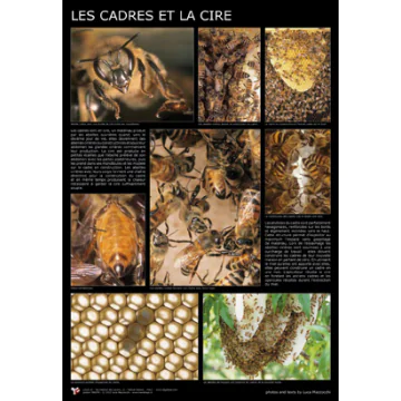 Affiche - Les cadres et la cire - 60 x 87 cm