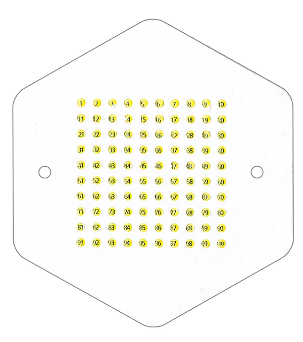 Pastilles de marquage jaunes numérotées pour reines - lot de 99