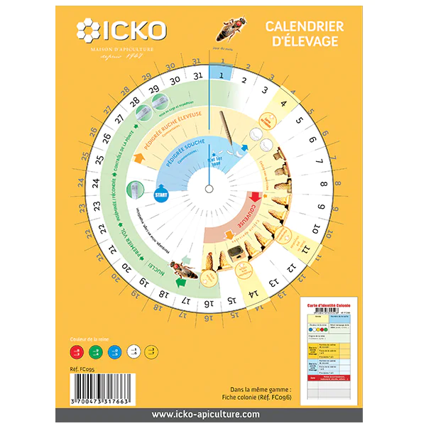 Calendrier d'élevage de reines pour apiculture