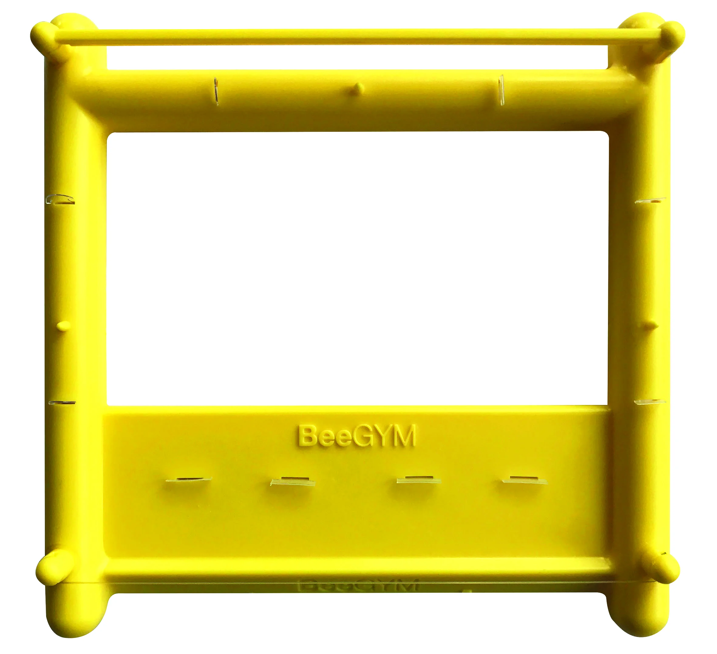 Dispositif de toilettage Bee gym pour l'abeille - anti-varroa naturel