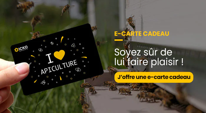 E-carte cadeau ICKO