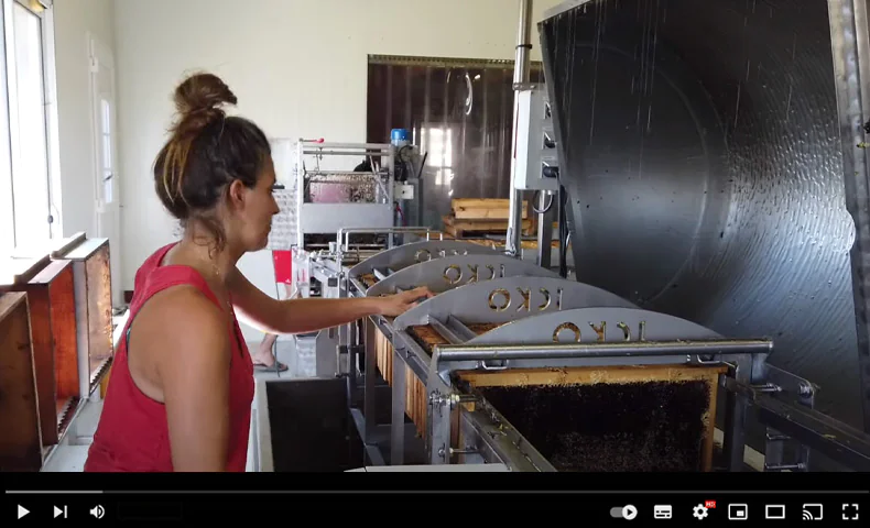 Miellerie complète : Extracteur Honey Gold 80 cadres, Spinpro