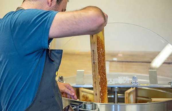 Matériel de miellerie professionnel