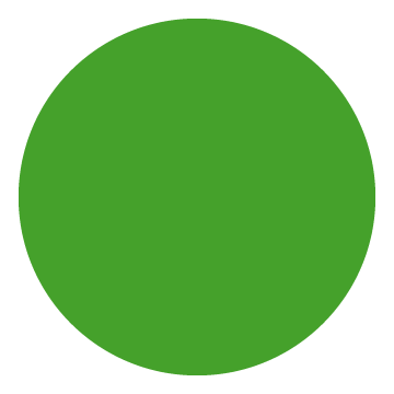 Dossards verts pour marquage des reines - tube de 50 unités
