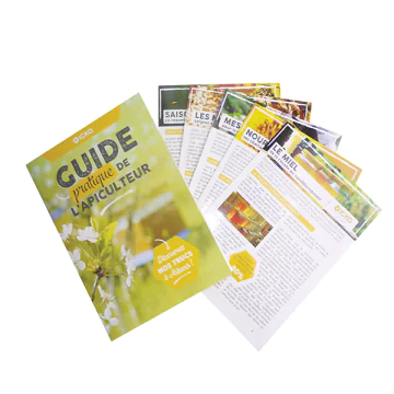Guide pratique de l'apiculteur : 5 fiches par Paul Fert