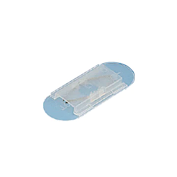 Chasse-abeilles porter