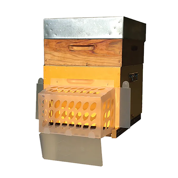 Bouclier de protection anti-frelons asiatiques STOP IT