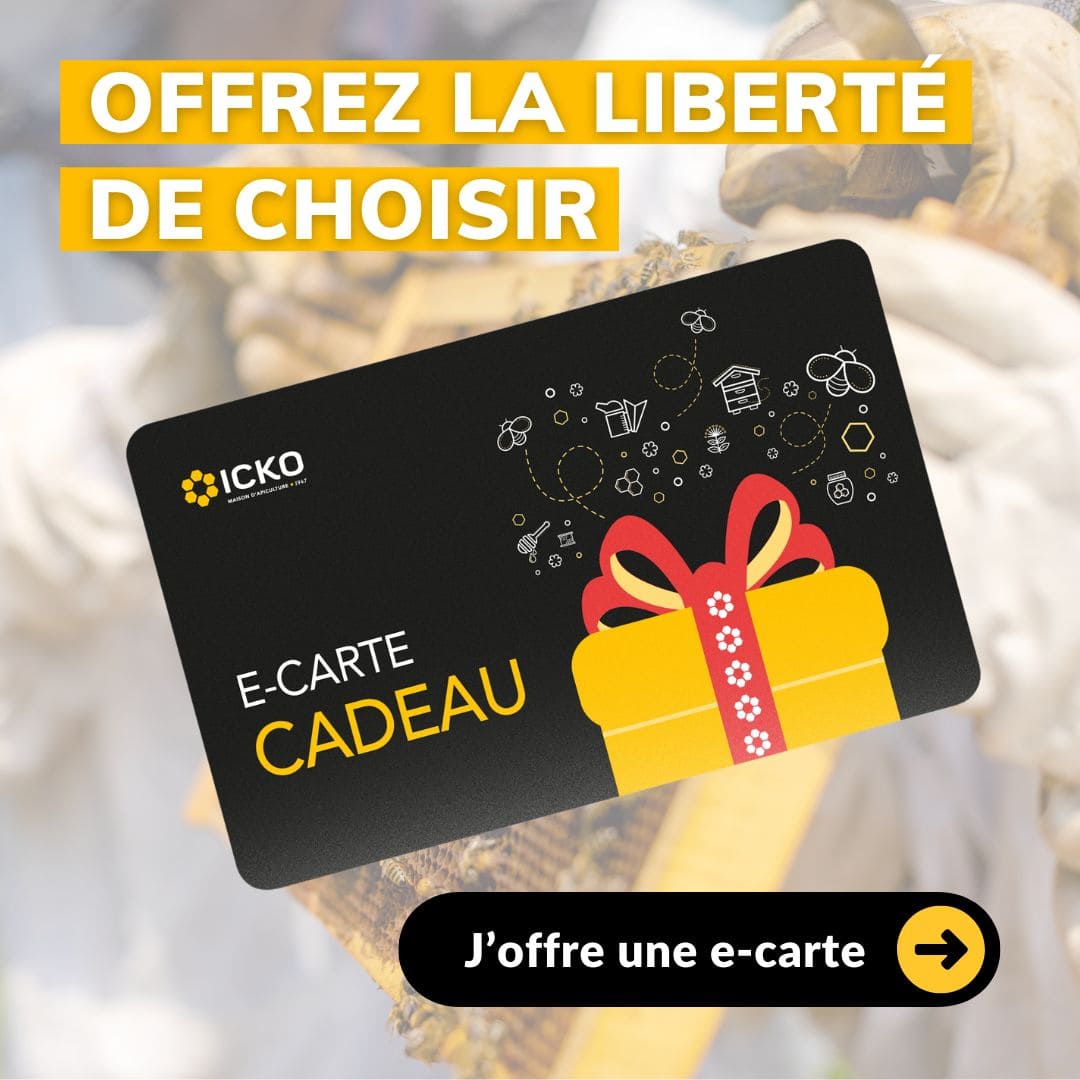 E-carte cadeau