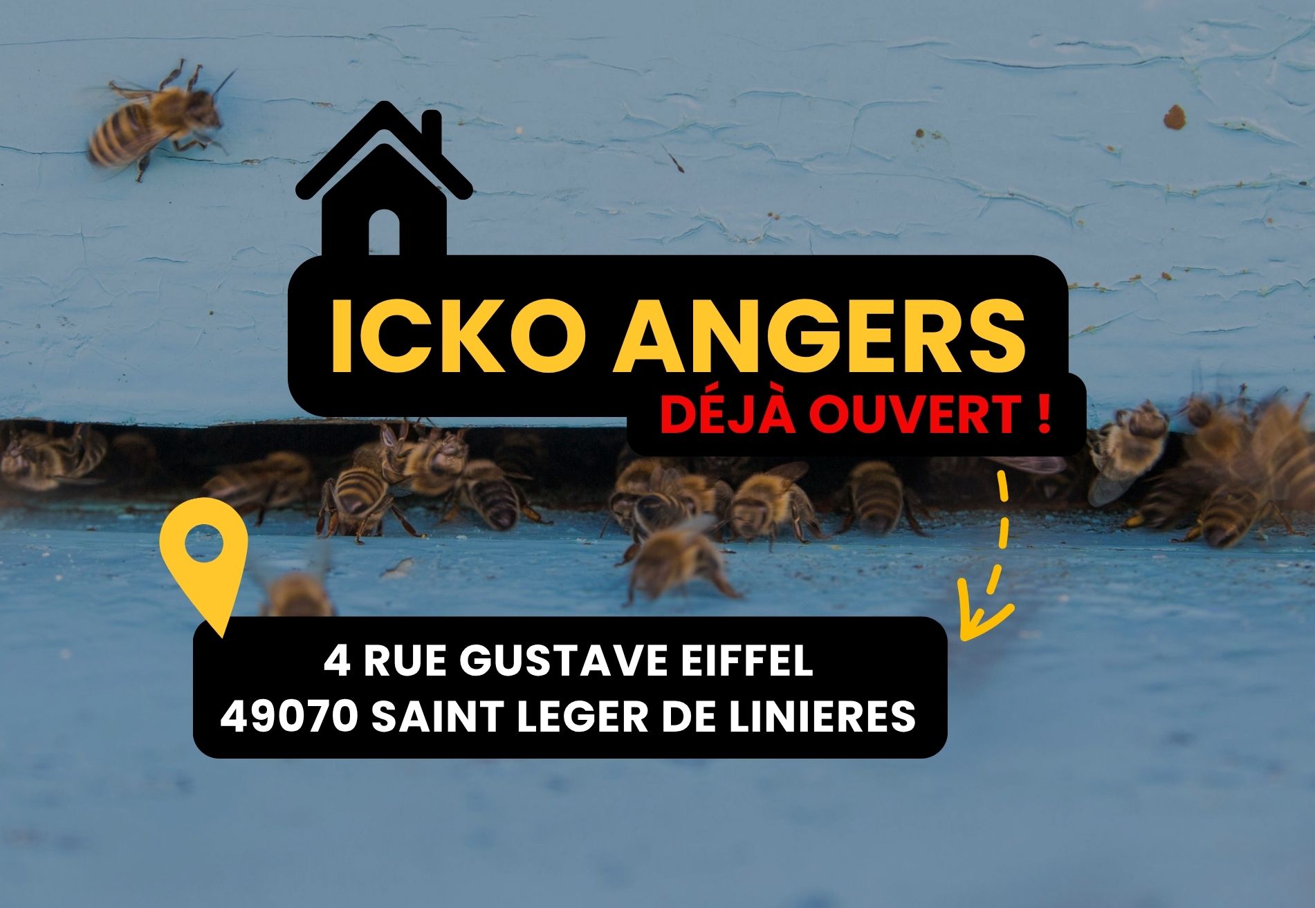 Ouverture ICKO Angers