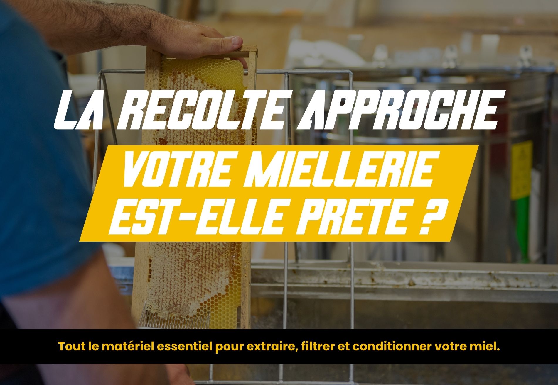 Les magasins ICKO