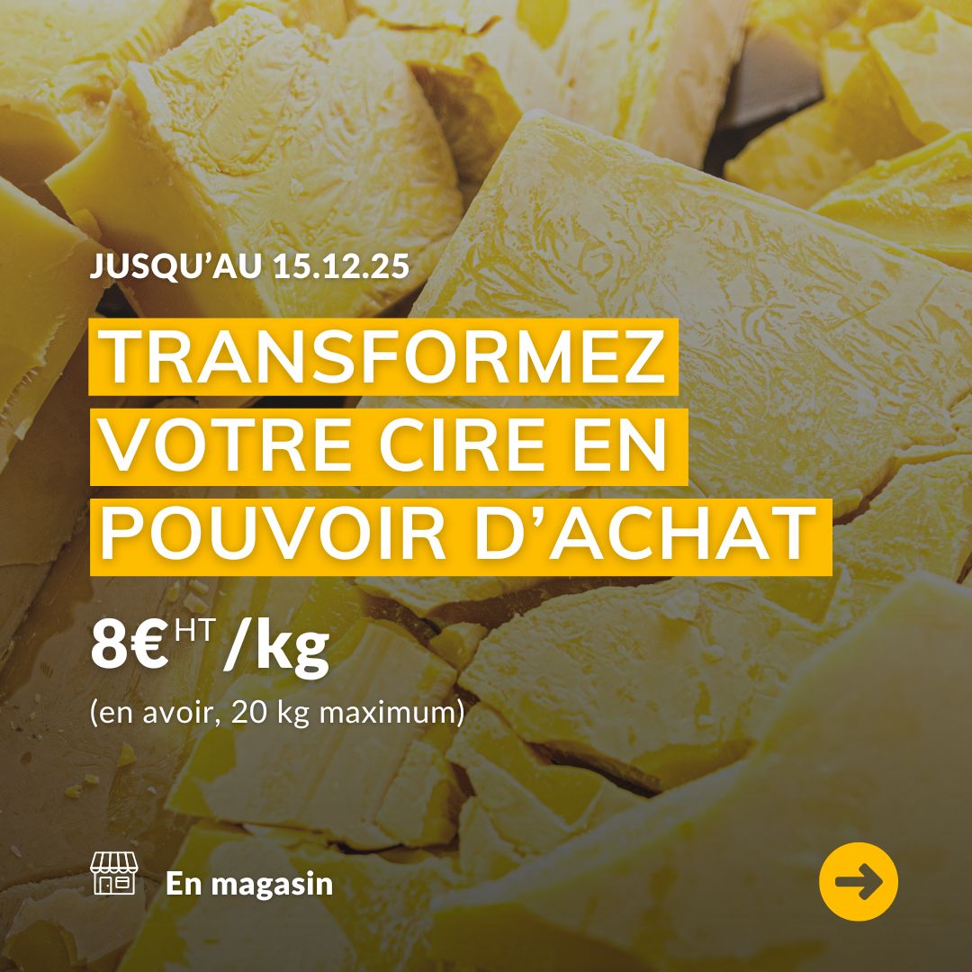 Les bonnes affaires continuent