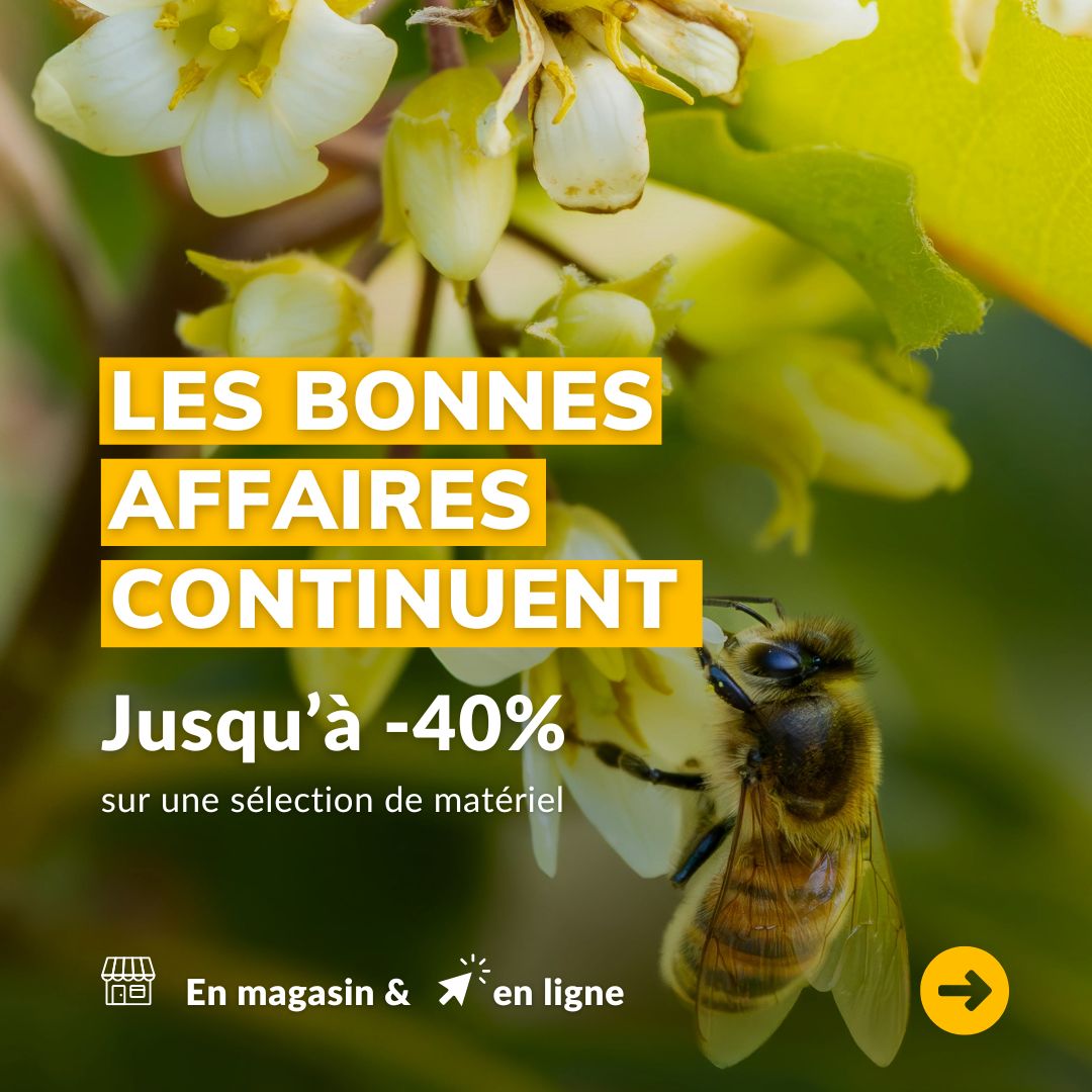 Les bonnes affaires continuent