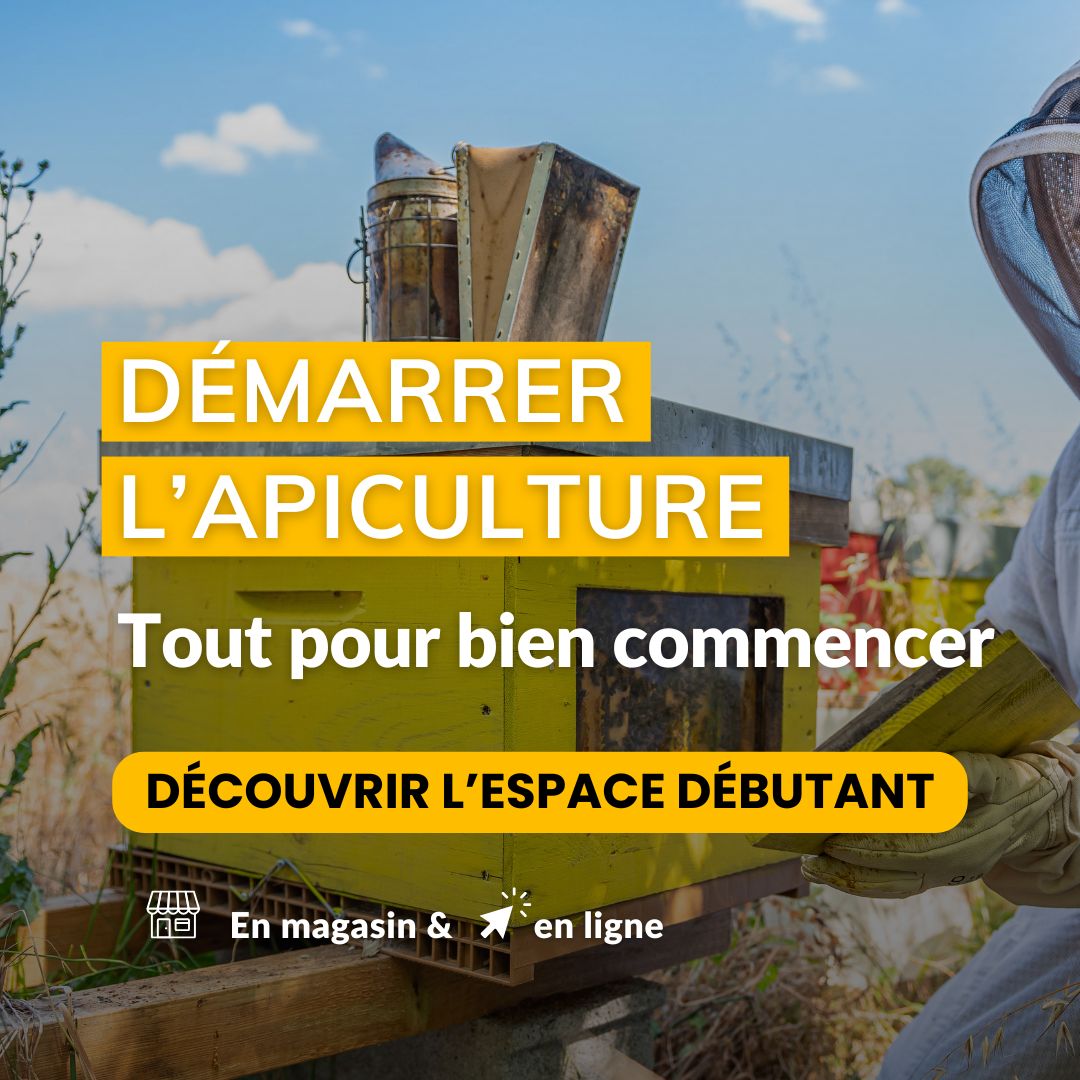 Kits d&eacute;butants