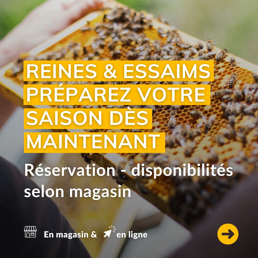 Kits d&eacute;butants